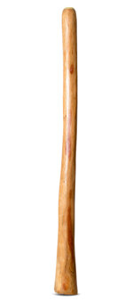 Medium Size Natural Finish Didgeridoo (TW1457)